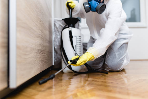 Pest Control for Restaurants in Sunnyside, GA