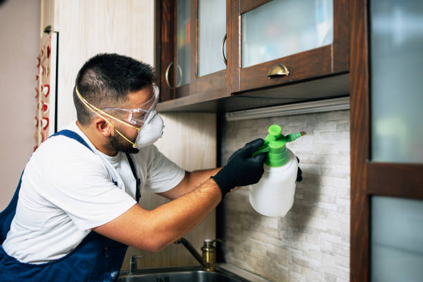 Best Pest Inspection Near Me  in Sunnyside, GA