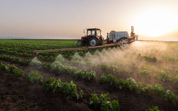 Best Mosquito Control Services  in Sunnyside, GA