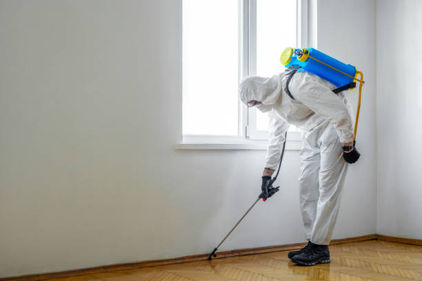 Best Wildlife Control Services  in Sunnyside, GA