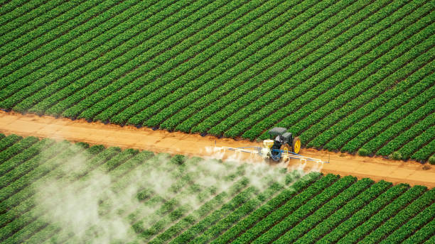 Professional Pest Control in Sunnyside, GA