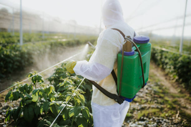 Best Emergency Pest Control  in Sunnyside, GA